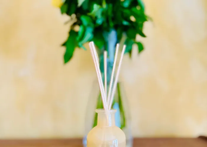 Apartment Garage Bayonne